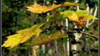 Beköszöntött az ősz (fogalmazás)