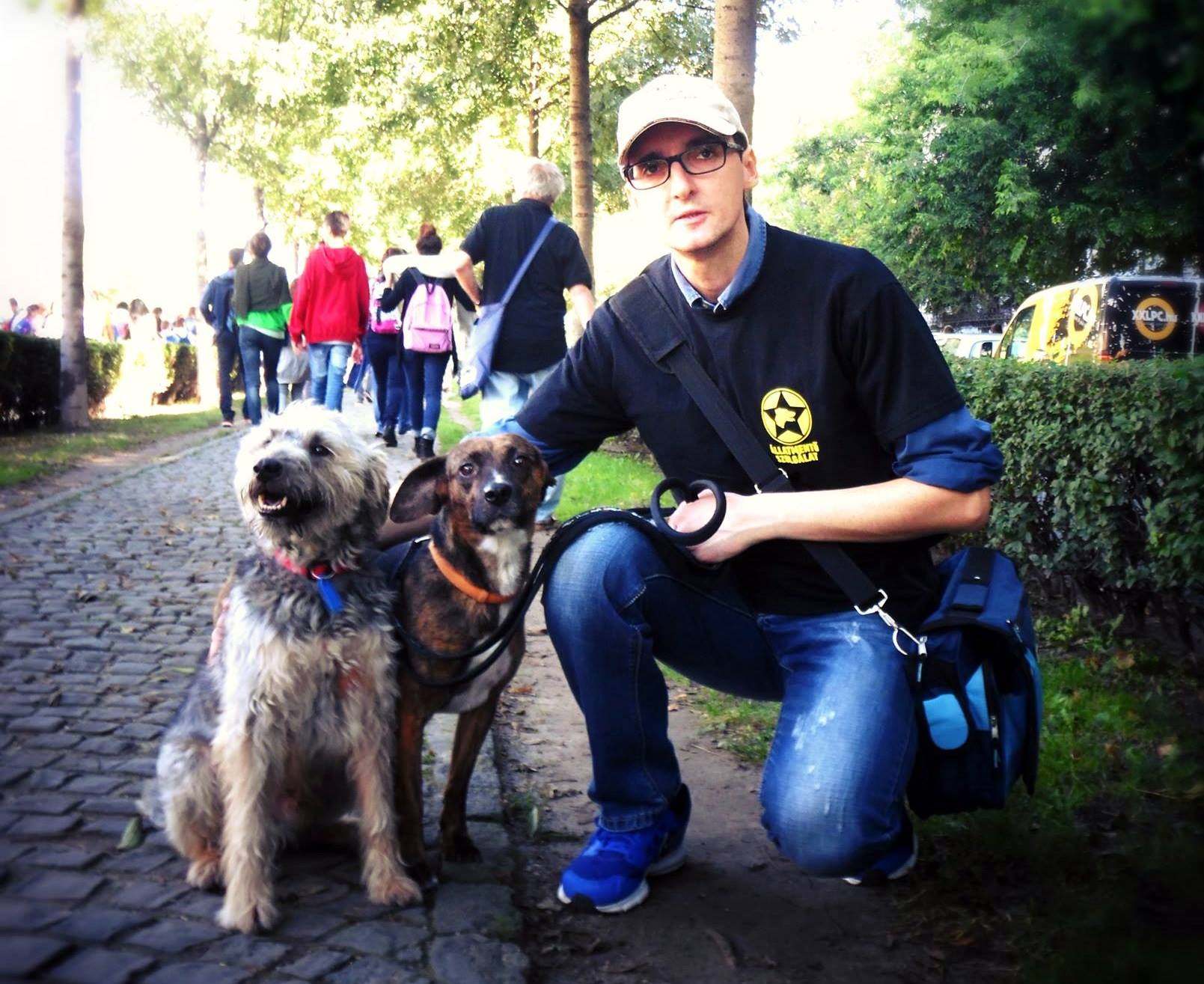 Illustration for article titled Állatmentés folyamatos műszakban