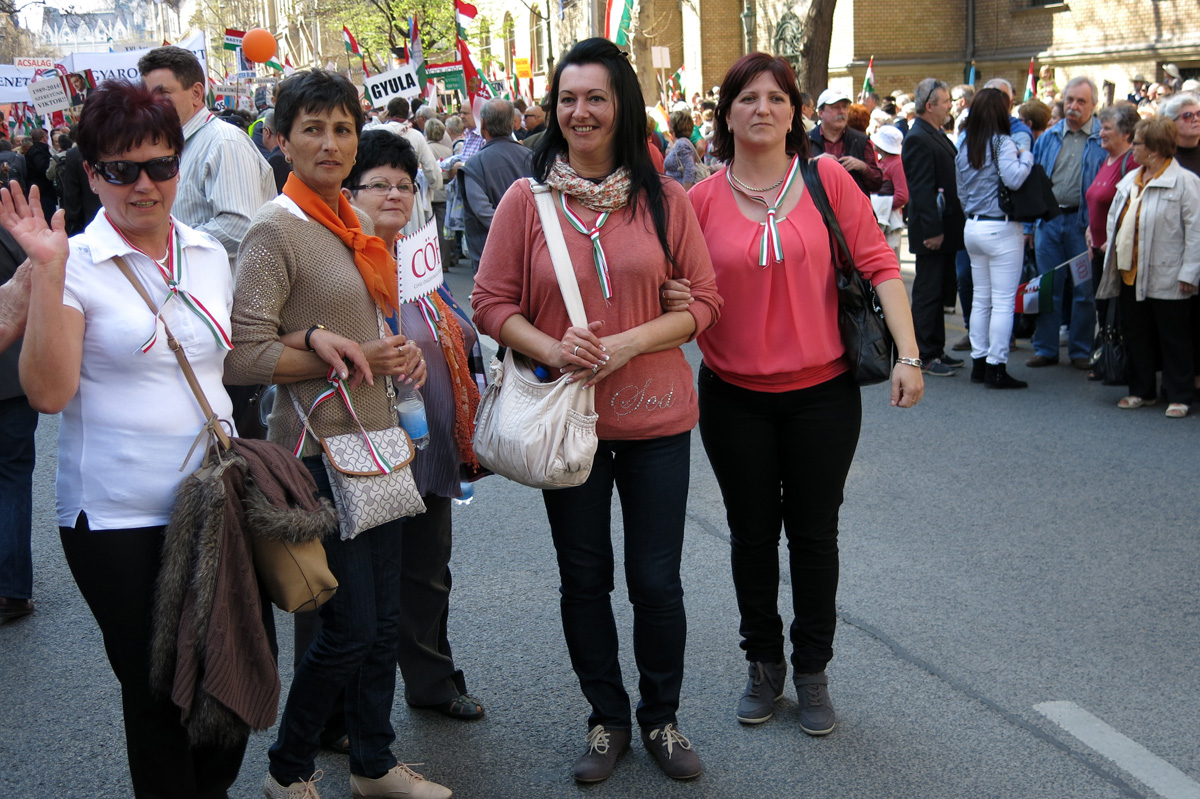 Illustration for article titled Harcba boldog jövőért megyünk – képeink a Második Békemenetről