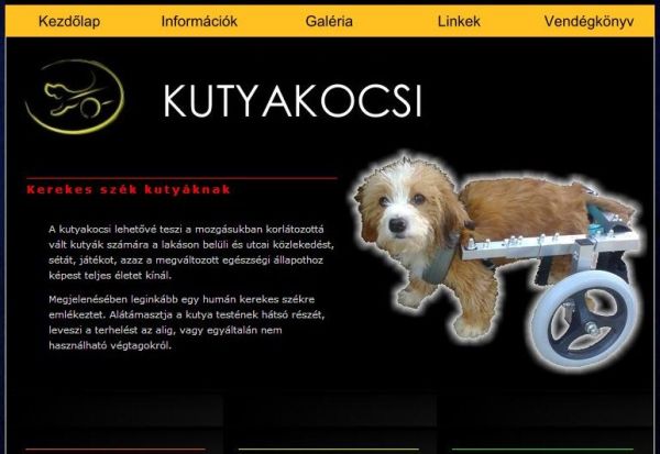 Illustration for article titled Hátsókerék meghajtású Zsombi