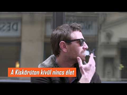 A munkatársak újraindították az ifjúsági Fidesz-lapot