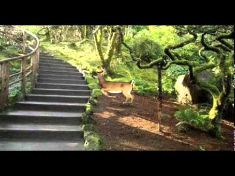 Ezzel a dallal kívánunk minden kedves kormányváltó olvasónknak