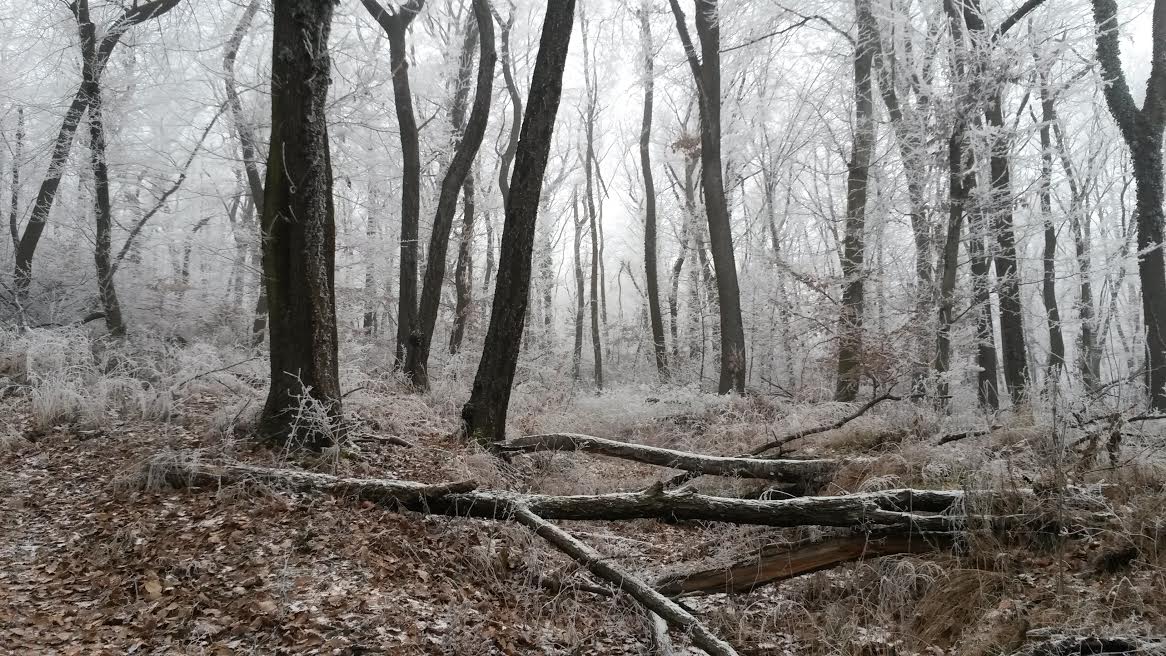 Illustration for article titled Időjárásjelentés