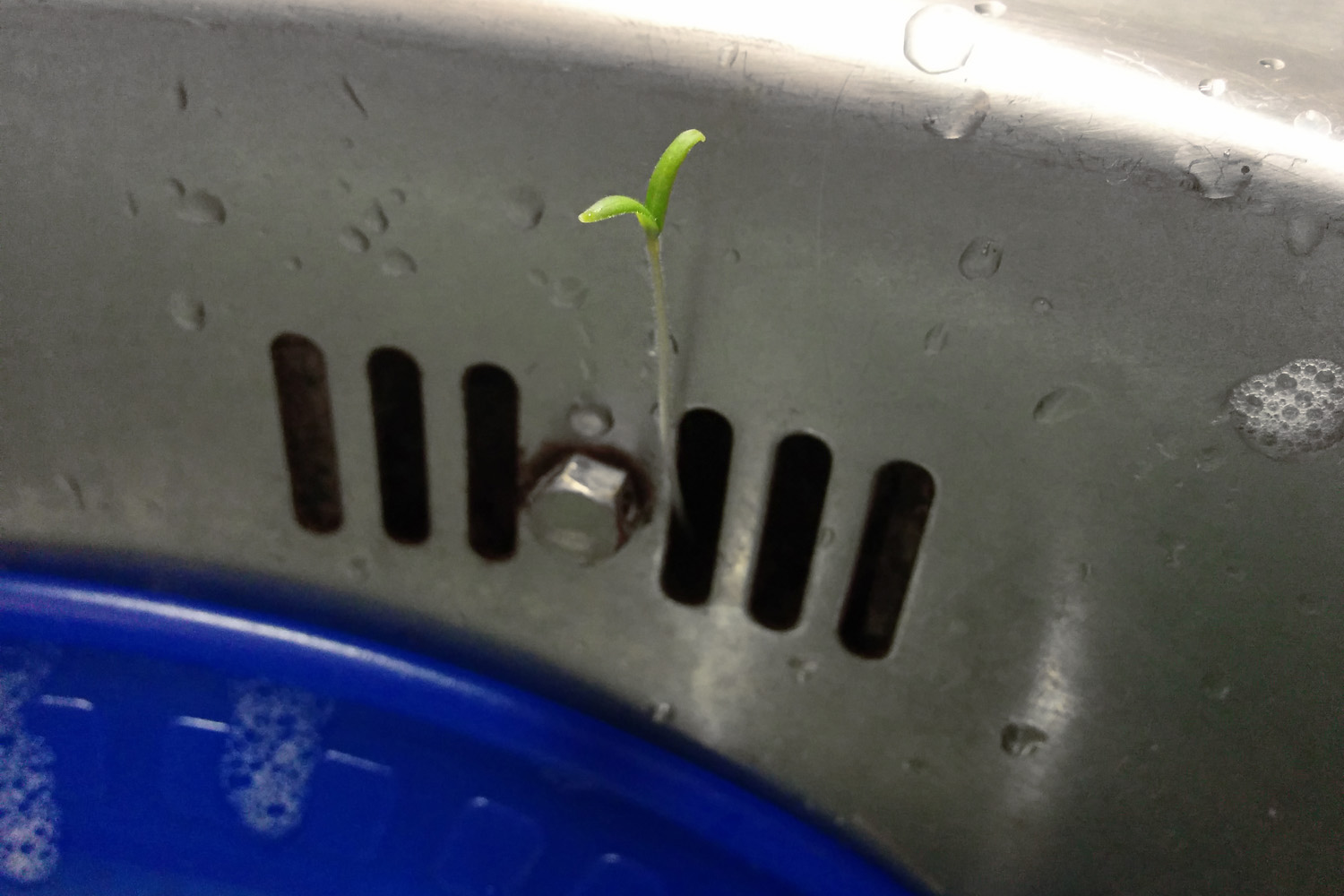 Rémisztő találkozásom a fékezhetetlen anyatermészettel