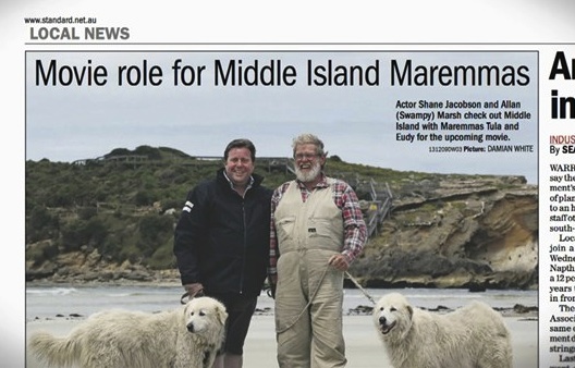 Illustration for article titled ODDBALL A PINGVIN MENTŐ KUTYUS, A VARÁZSLATOS AUSZTRÁL SZIGETVILÁGBAN