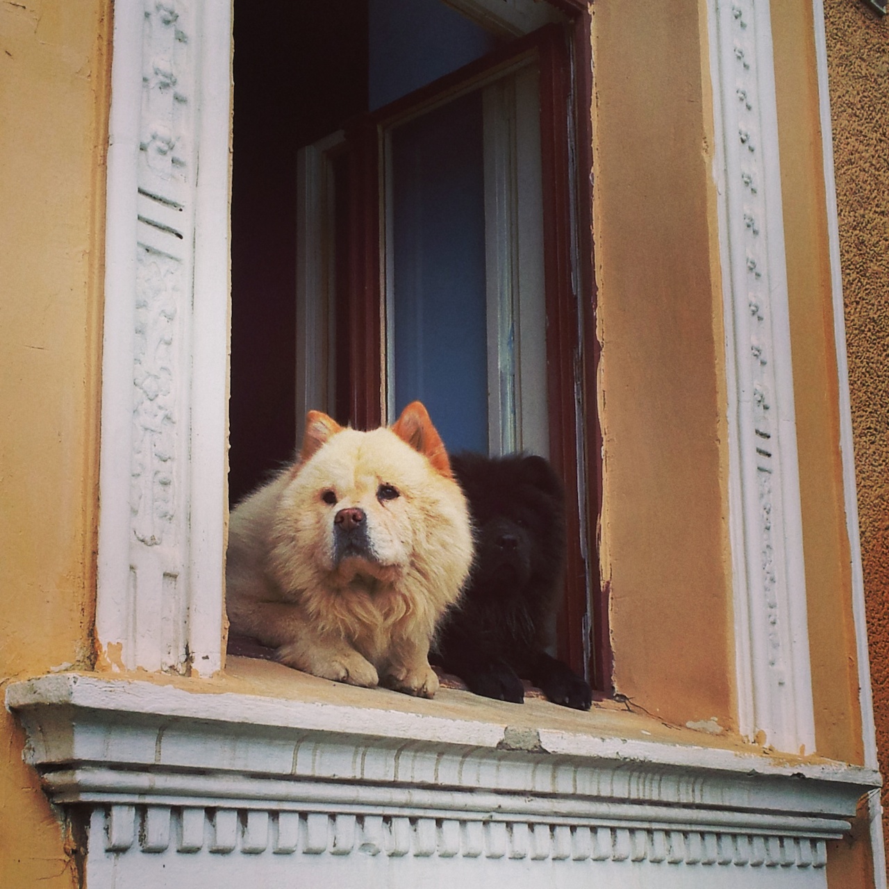 Illustration for article titled Adjátok vissza a Monarchiámat!