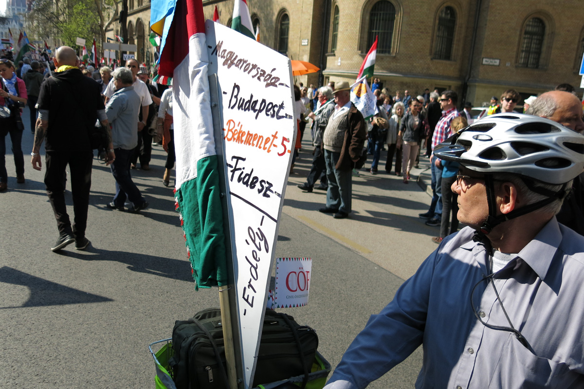 Illustration for article titled Harcba boldog jövőért megyünk – képeink a Második Békemenetről