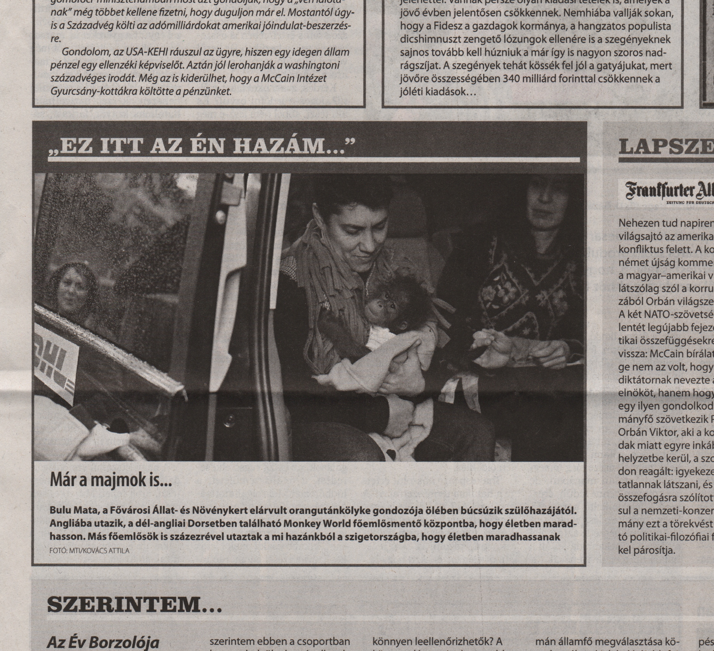 Százezrével menekülnek Londonba a magyar főemlősök Orbán Viktor elől