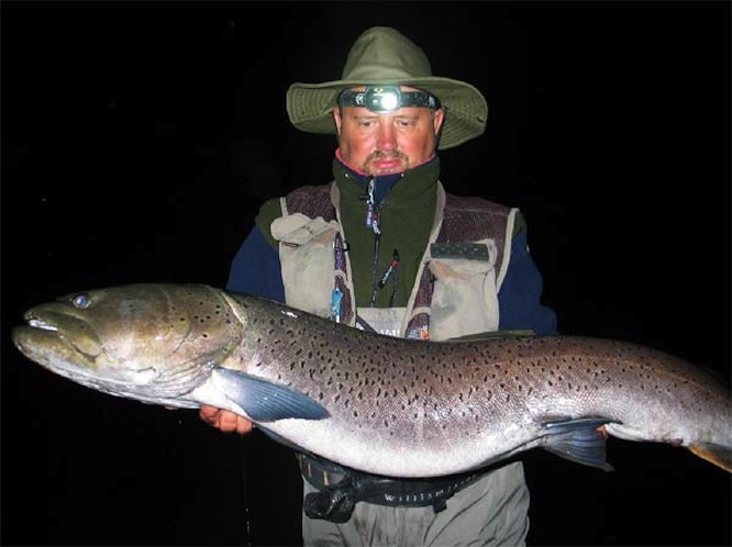 Illustration for article titled Az év hala lehet a pinafésű, ha rá szavazol