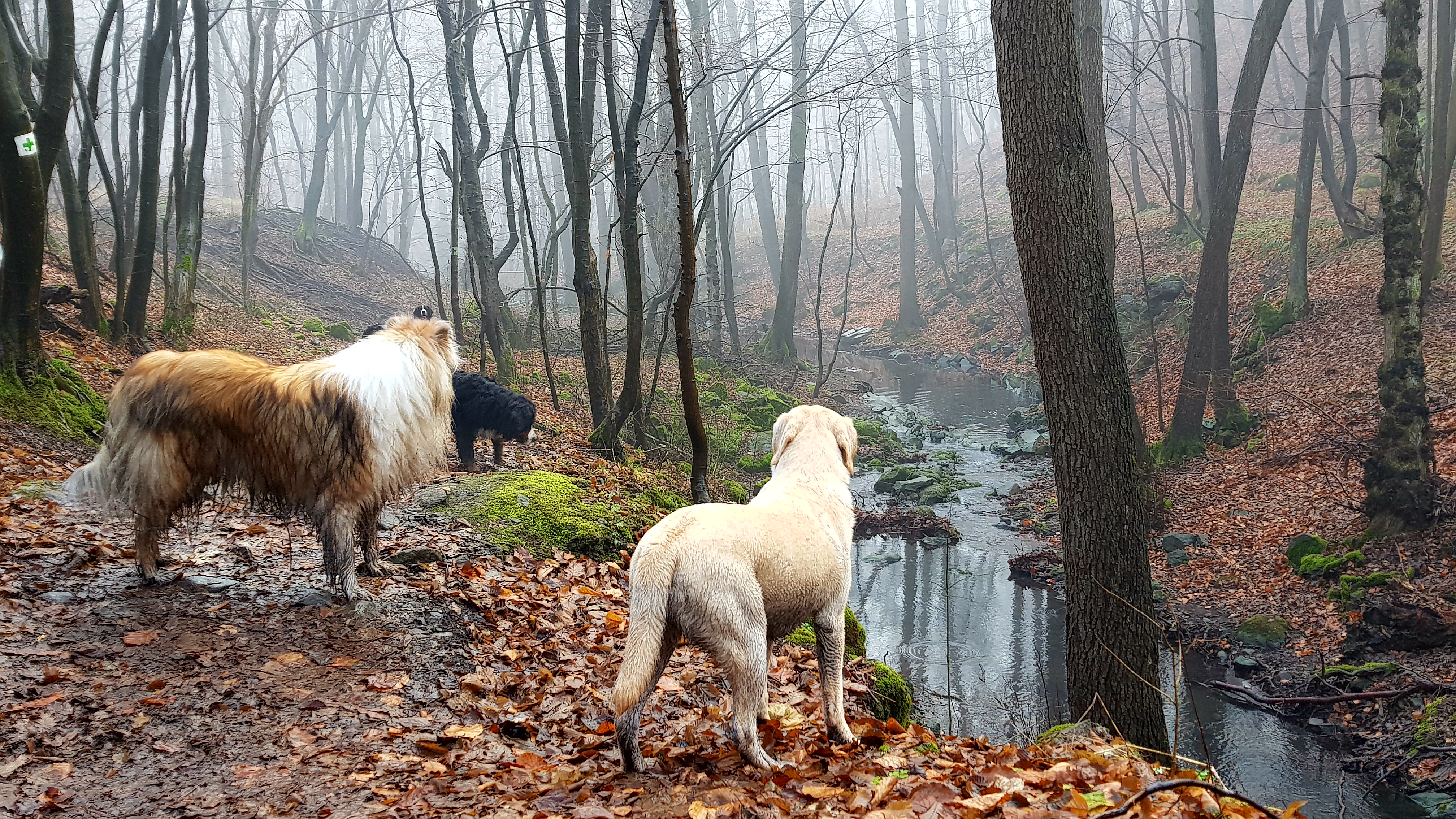 Illustration for article titled Hát akkor....ELSŐ!!