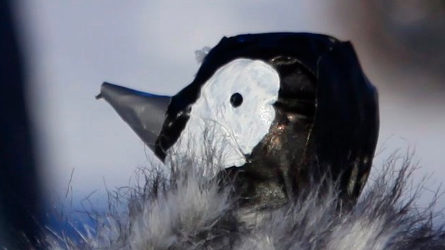 Illustration for article titled Két dolog, amit nem vettél észre a császárpingvinfióka-roboton