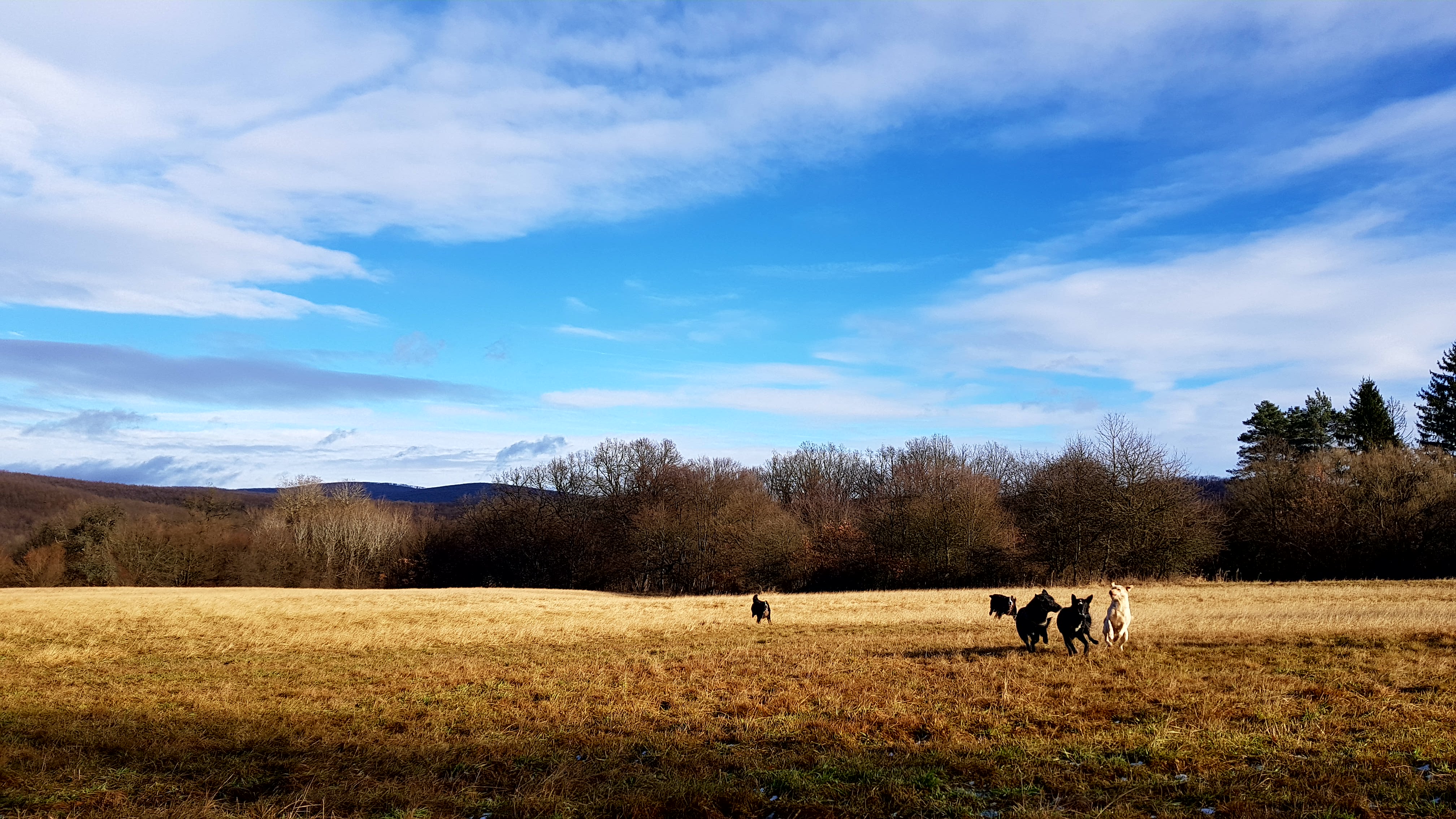 Illustration for article titled Hát akkor....ELSŐ!!