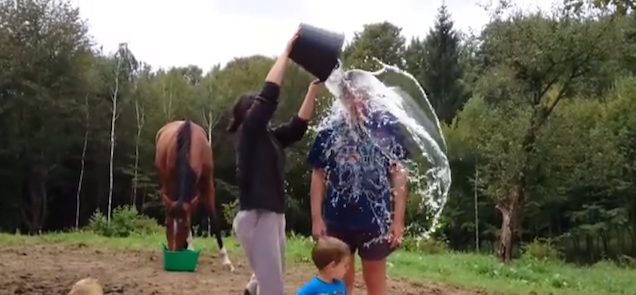 Hogy mi van? Mégsem Falus Ferenc az egyetlen? Hülyéskedtek?