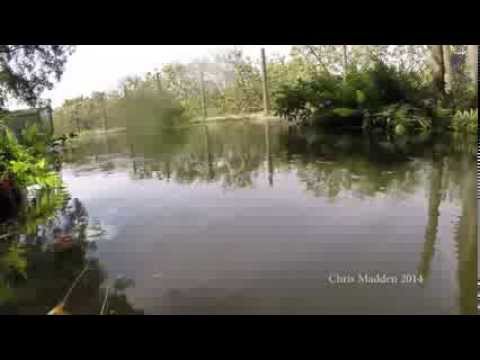 Ezt láthatja utoljára egy krokodil áldozata