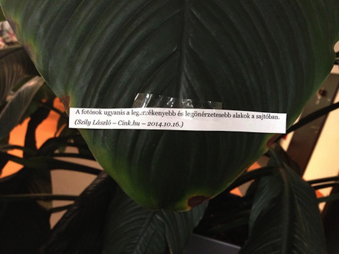 Ilyen jó reakciót még egy cikkemre sem kaptam (frissítve!)