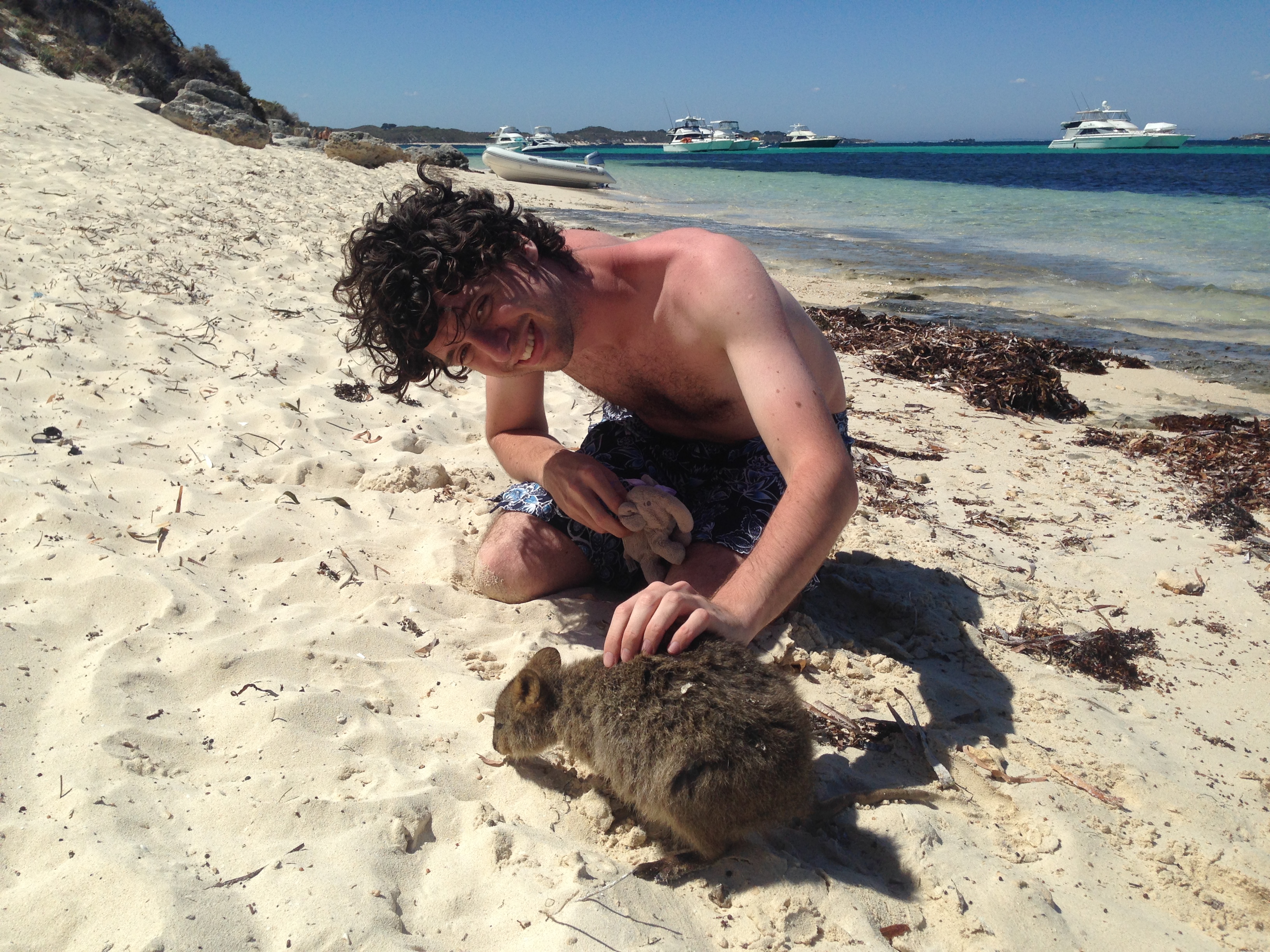 Illustration for article titled Annyi szelfibotos quokkaszelfizőt láttam, hogy csak na