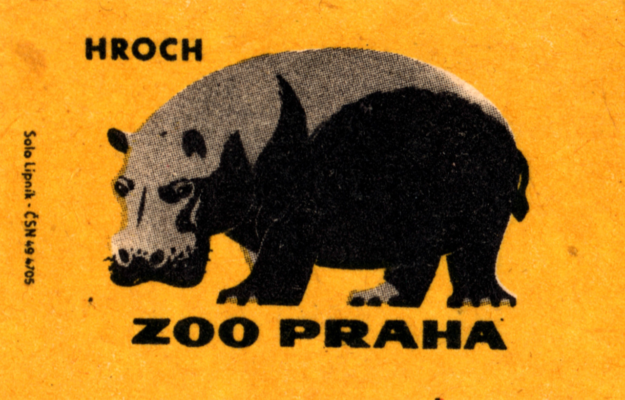 Illustration for article titled Csehül minden állat neve viccesebb