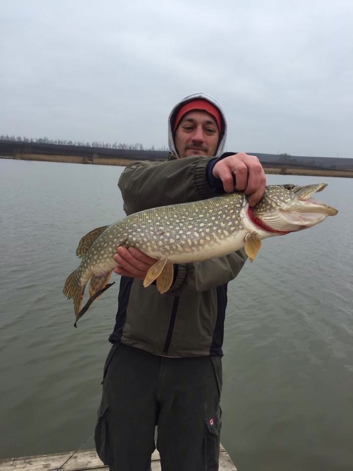 Illustration for article titled Megint lesz Critical Mass, I bike Budapest néven