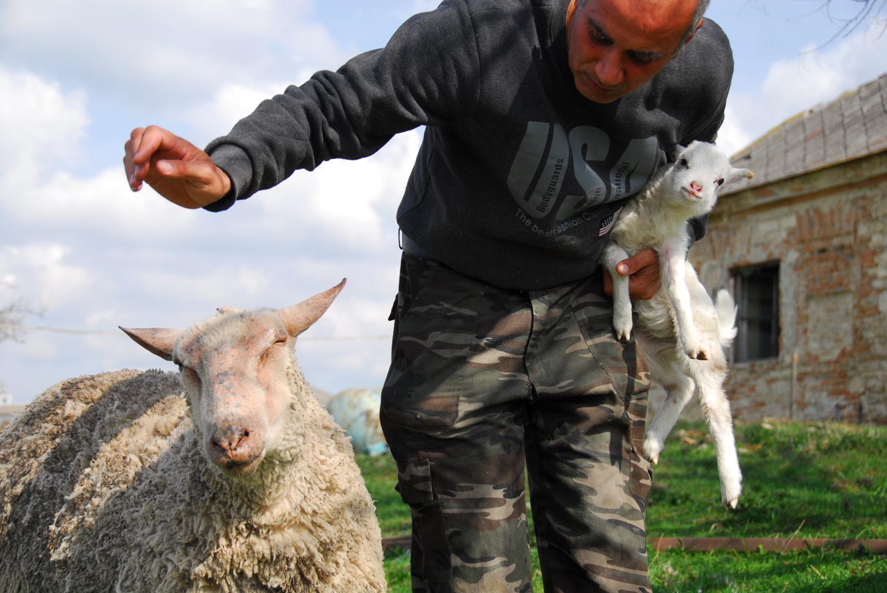 Illustration for article titled Politikonc#16