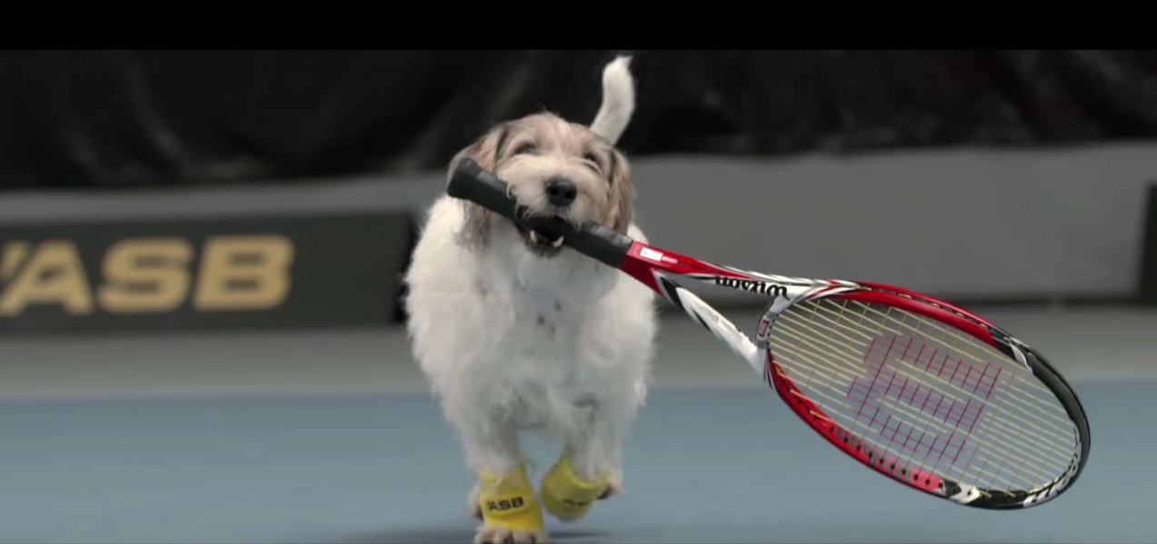 Blökik a teniszpályán. TENISZ EB!