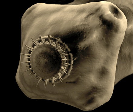 Illustration for article titled Politikonc$115 000 000