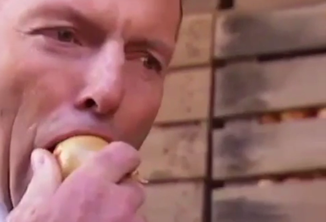 Tony Abbott ausztrál miniszterelnök megevett egy nyers hagymát