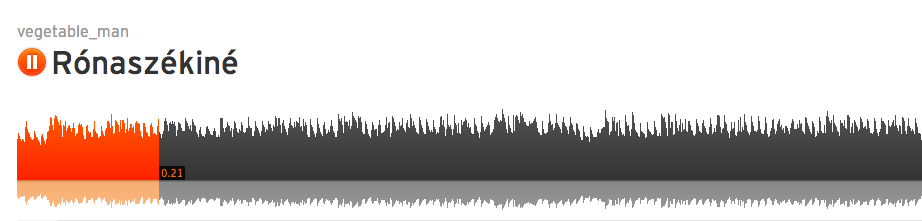 Szép szerelmes dalt írtak Rónaszékinéhez