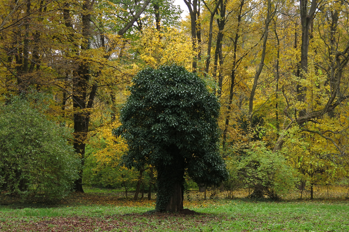 Illustration for article titled A legszebb dolog, amit József nádornak köszönhetünk