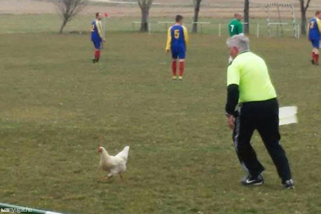 Új Munkácsy után kiált ez a fotó