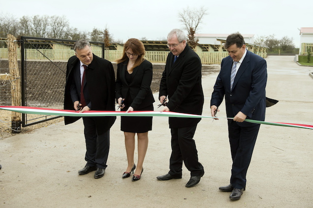 Állítsunk szobrot Mészáros Lőrinc elfelejtett egymilliárdjának!