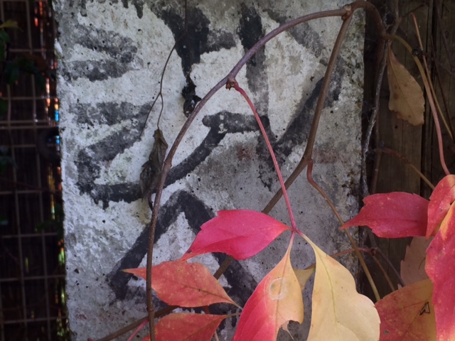 Illustration for article titled Megtaláltam a világ legromantikusabb villanyoszlopát