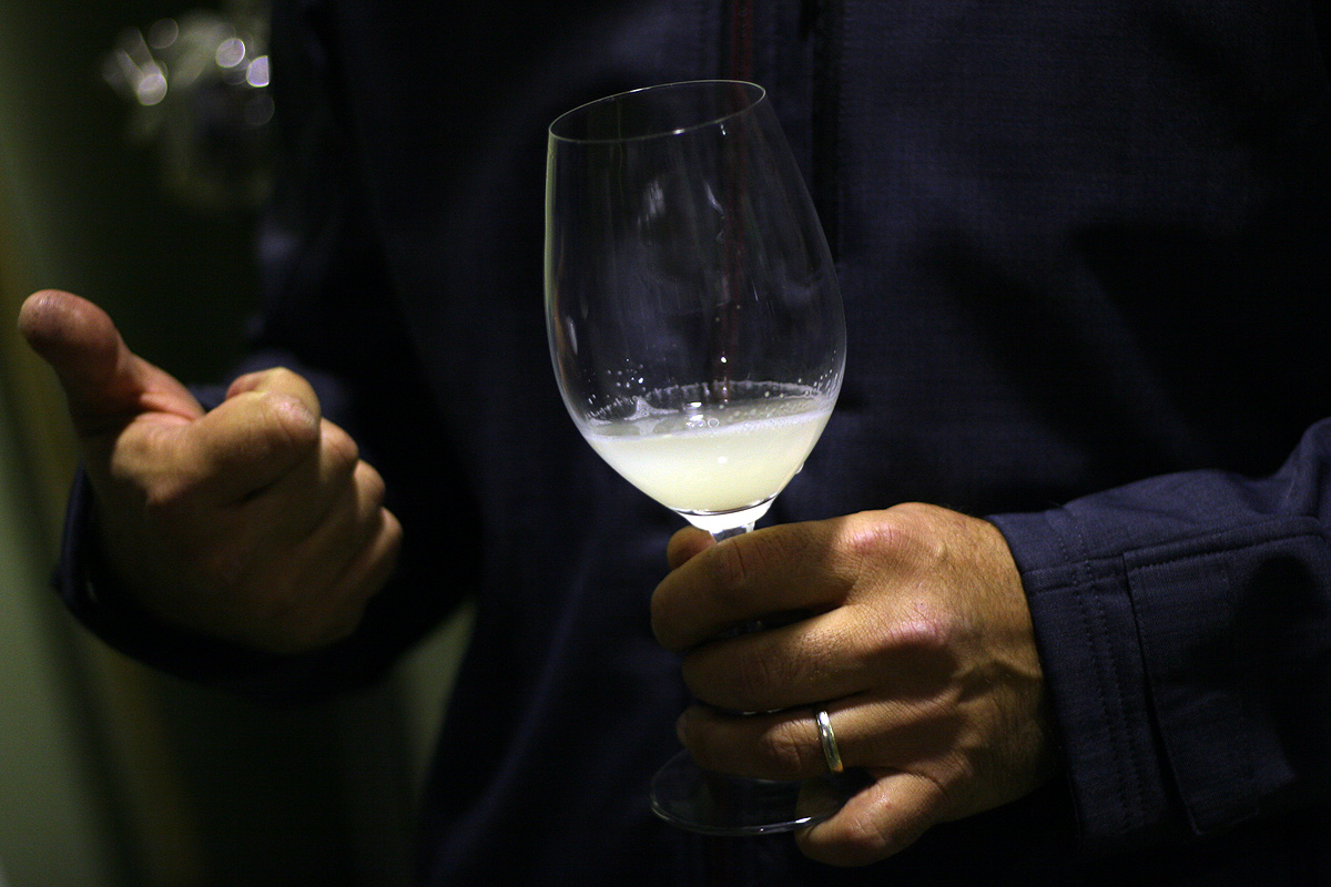 Illustration for article titled Papbor