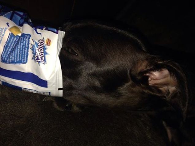 Kinyalni a chipses zacskót