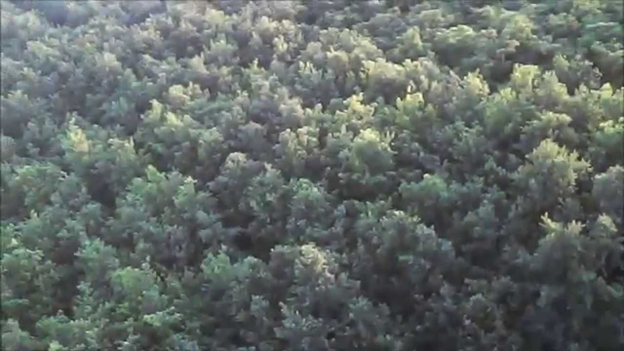 Ez az, amit más dróntulajdonosok el szoktak titkolni!