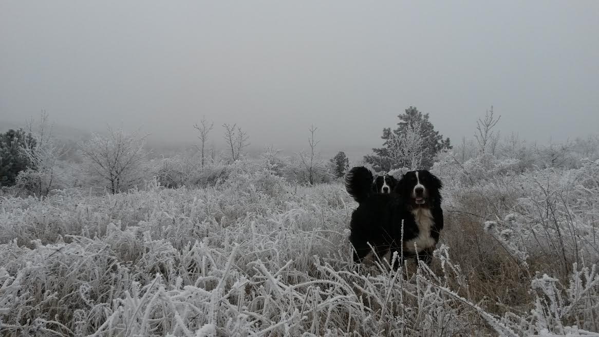 Illustration for article titled Időjárásjelentés