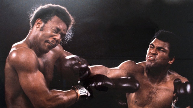 Illustration for article titled Tengeri ütközettel vagy bokszmeccsel nyisson a Pancho Aréna?