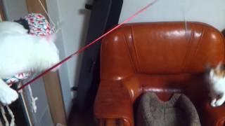 Én erről a videóról nem tudok mondani semmit, csak így kirakom