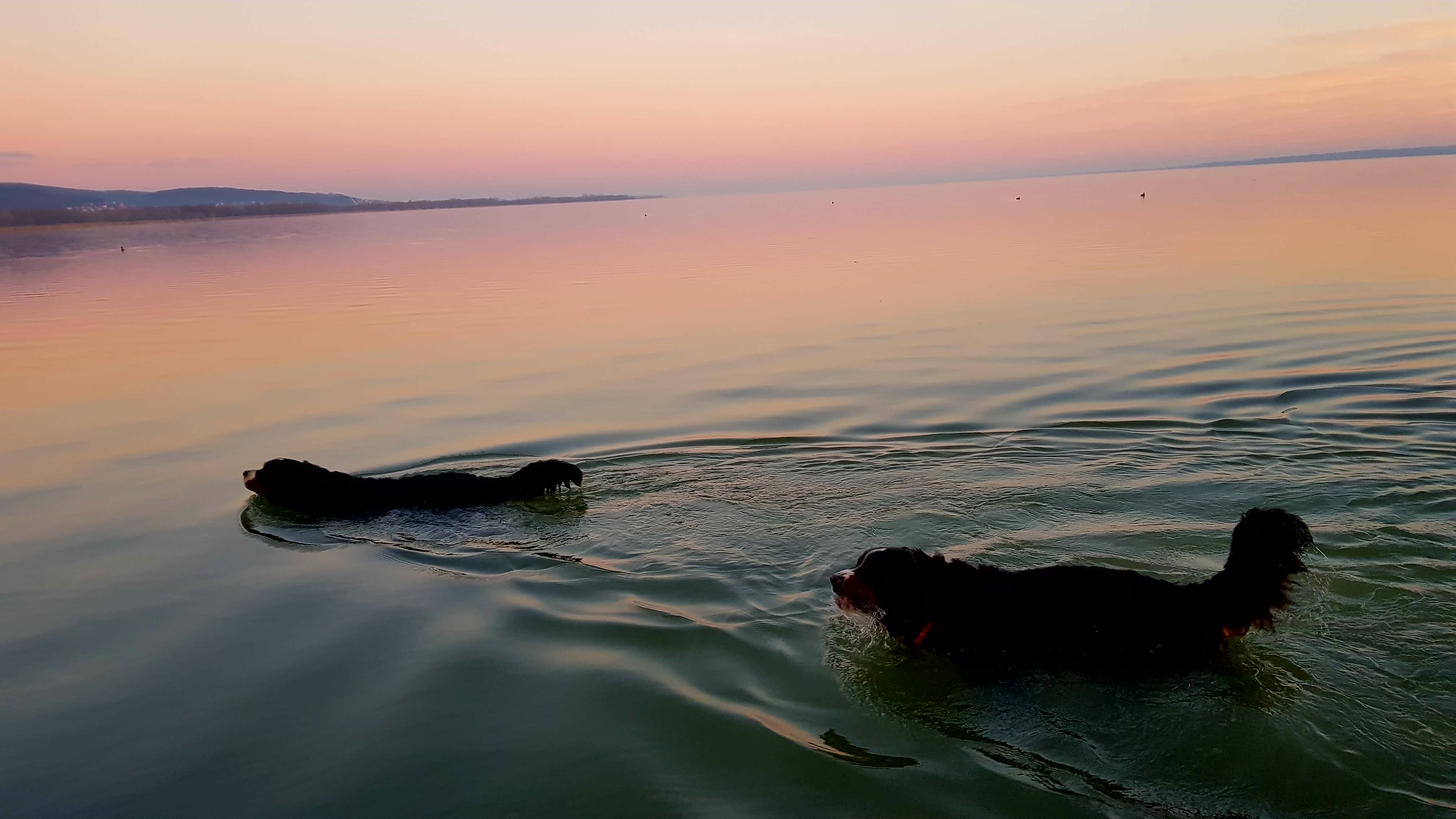 Illustration for article titled Hát akkor....ELSŐ!!