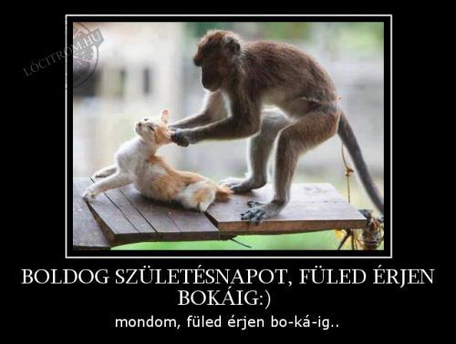 Illustration for article titled Hogyan köszöntsük barátunkat a születésnapján?