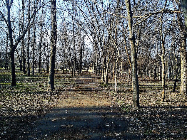 Elhajtotta a fideszes Kőbánya a Moszkva térrel házaló Tarlós Istvánt