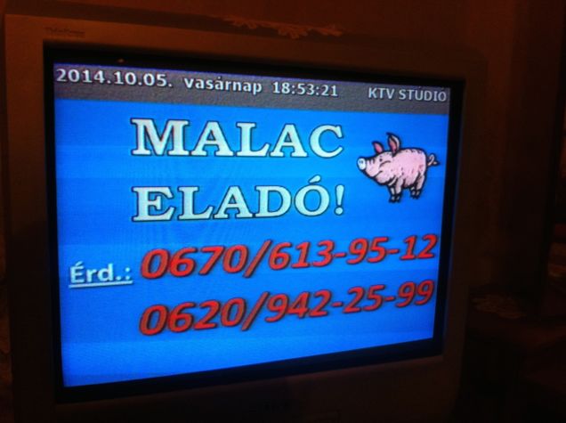 Ti is lemaradtatok a mai nap legjobb Cink-posztjáról?