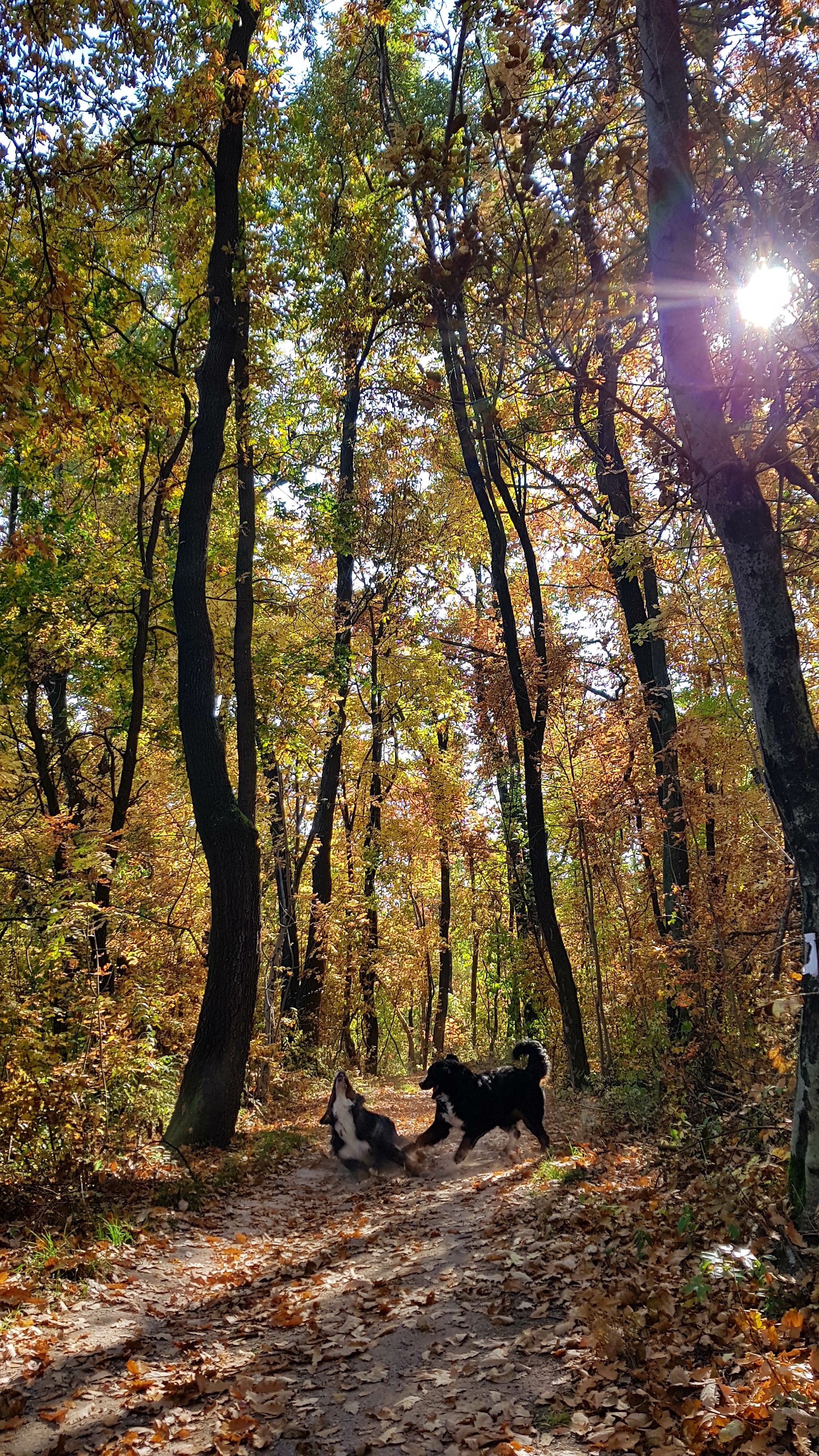 Illustration for article titled Időjárásjelentés