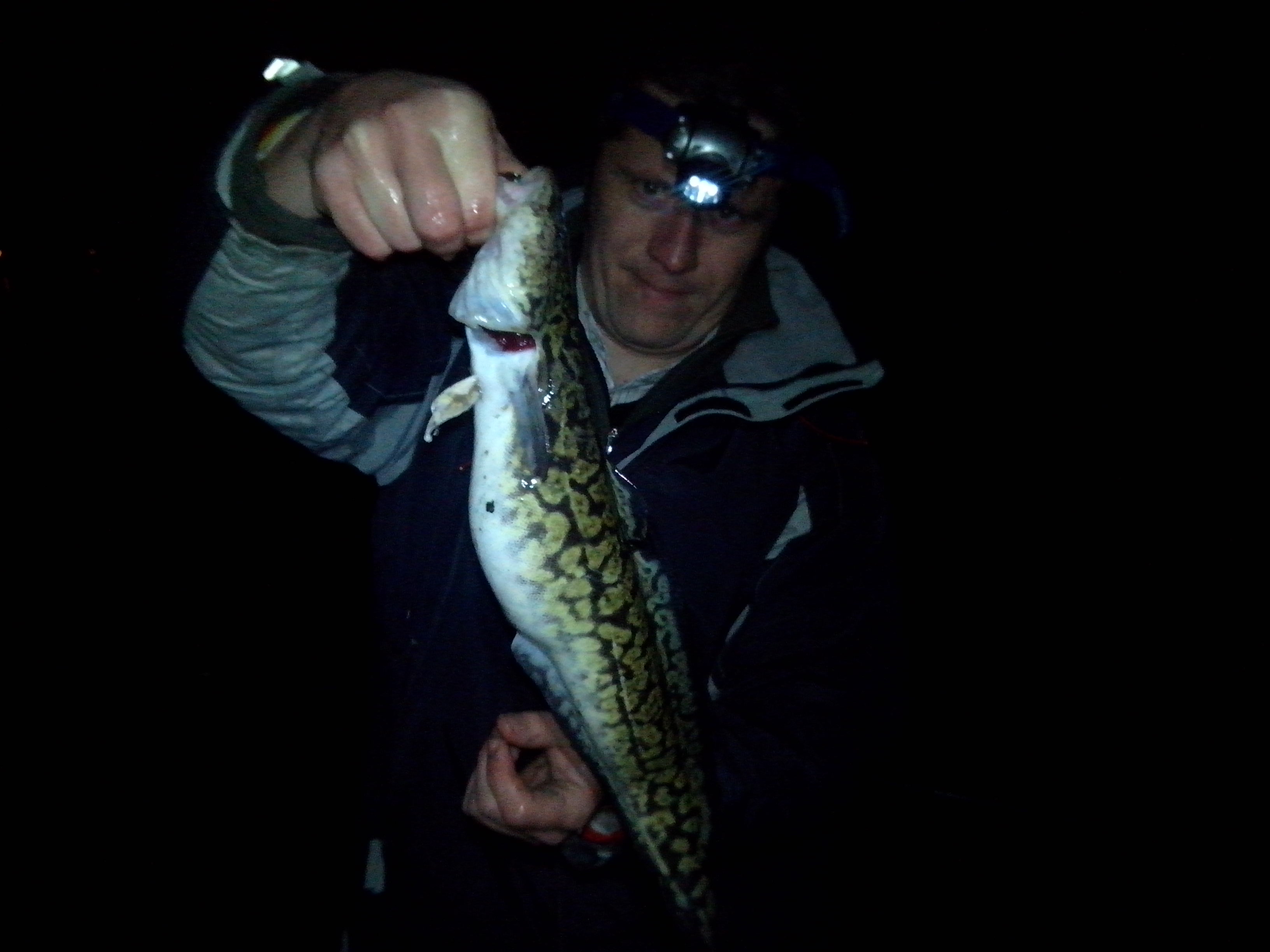 Illustration for article titled Végre van miről beszélgetni egymással!