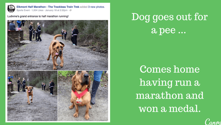 Illustration for article titled A blöki, aki véletlenül hetedik lett a fél-maratonon