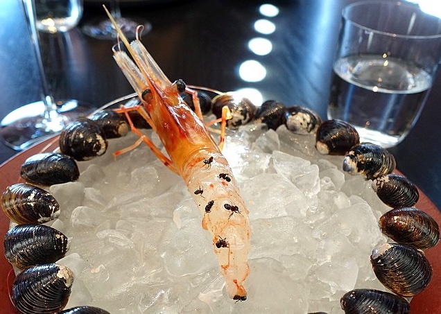Hangyával fűszerezett garnélát kínál a Világ Legjobb Étterme