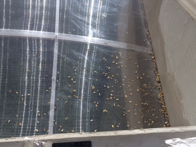 Illustration for article titled Leteszteltük, praktikusan hogy sikerült az I. Orbán Ramszesz Stadion