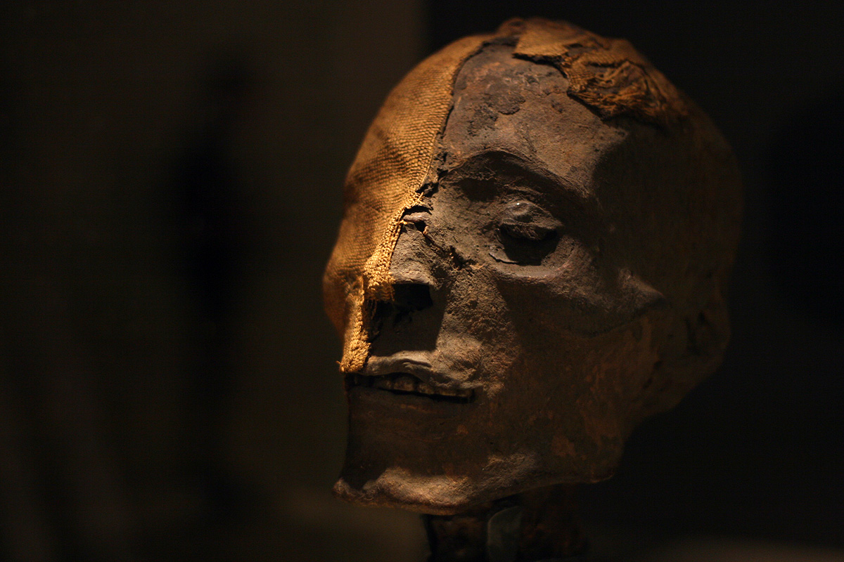 Illustration for article titled Hogy Sándor Terézia vámpír lett volna? Ugyan már!