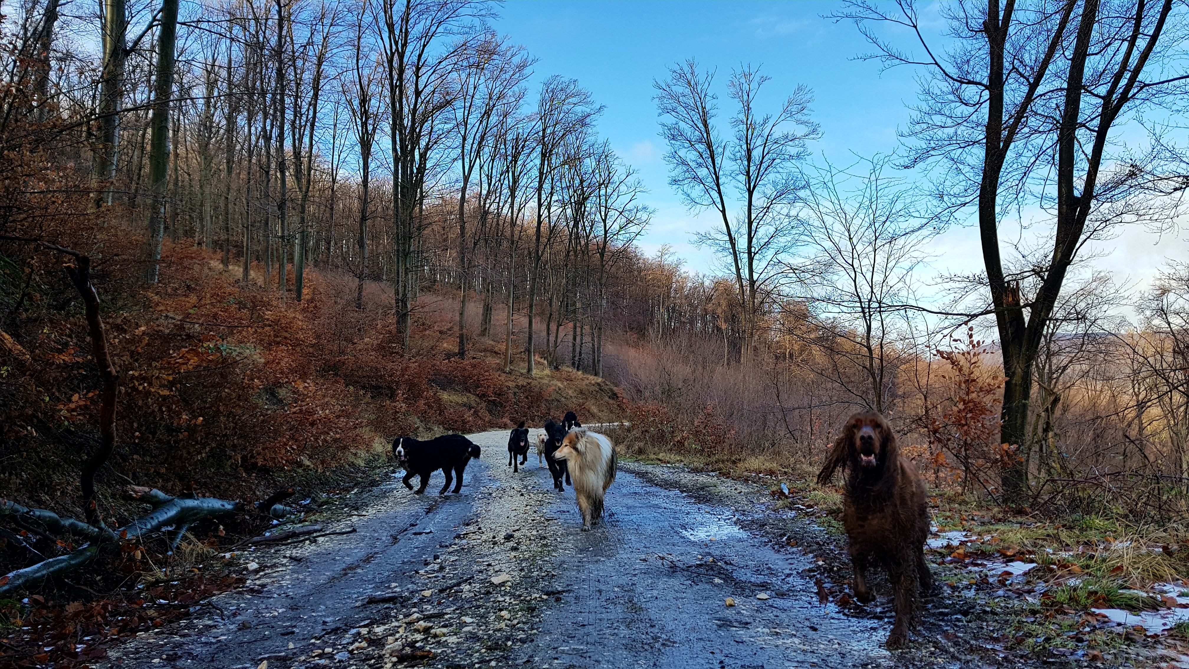 Illustration for article titled Hát akkor....ELSŐ!!