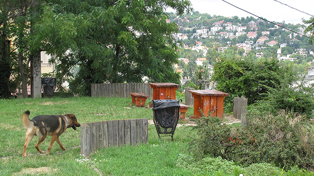 Illustration for article titled Budapest legjobb randihelye, és ti eddig nem is ismertétek