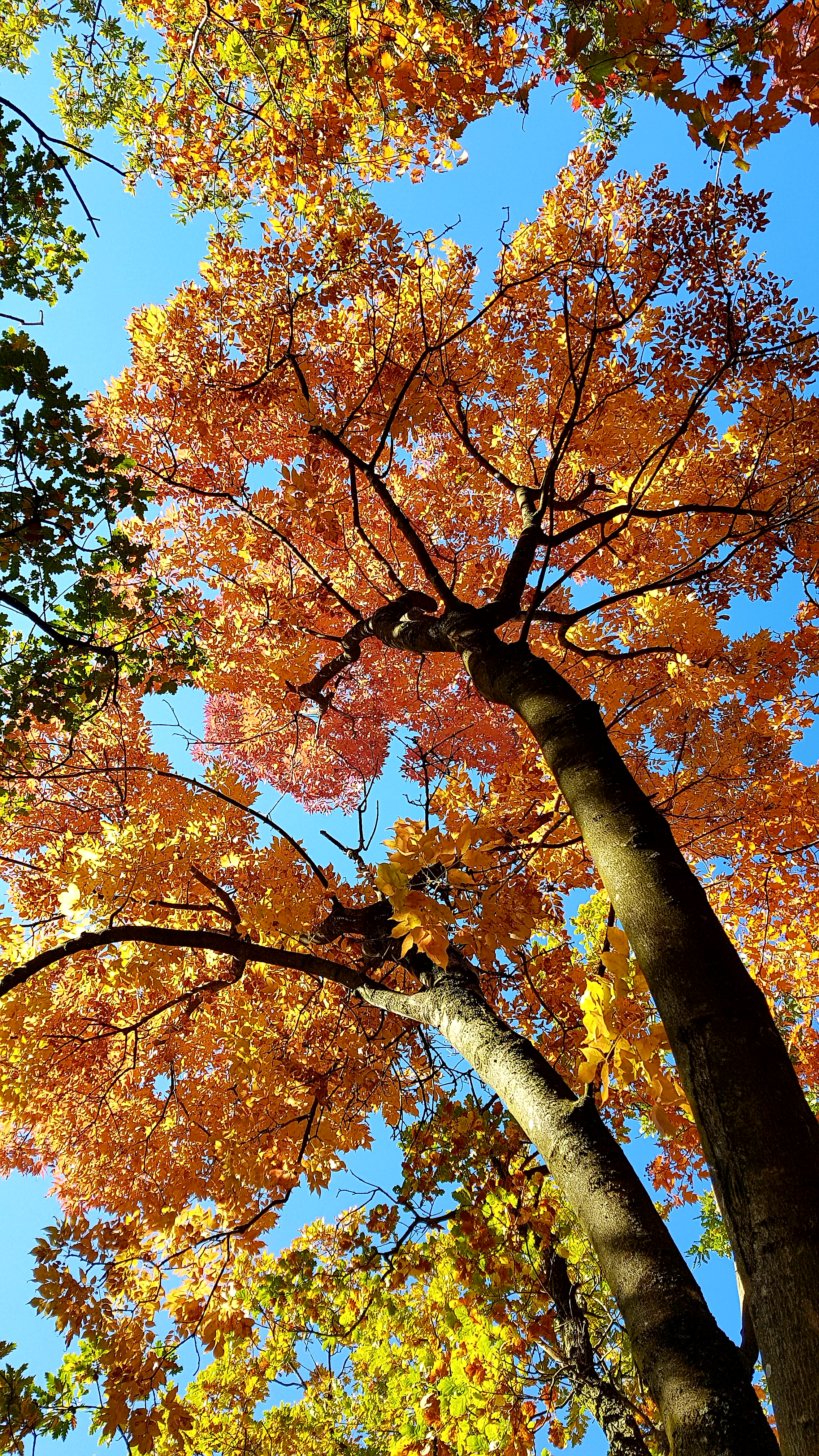 Illustration for article titled Időjárásjelentés